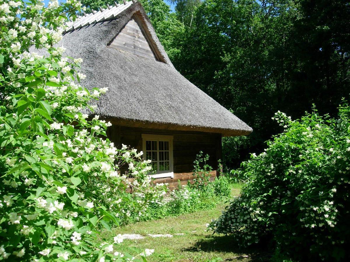 Hotel Kotka Farm Saarekula Exterior foto